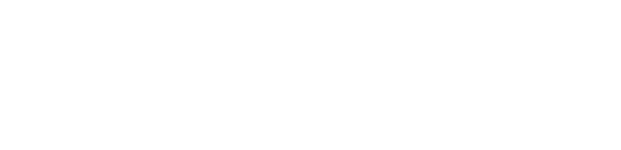 Acumen Risk